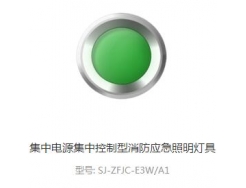集中电源集中控制型消防应急照明灯具