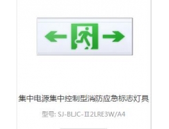集中电源集中控制型消防应急标志灯具2