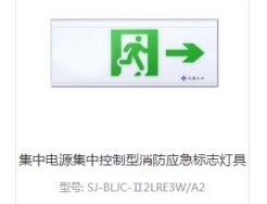 集中电源集中控制型消防应急标志灯具1