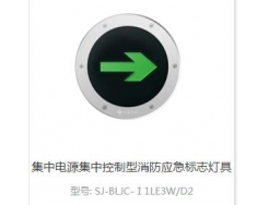 集中电源集中控制型消防应急标志灯具